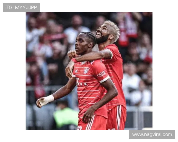 格纳布里本赛季表现稳健，进攻影响力持续提升